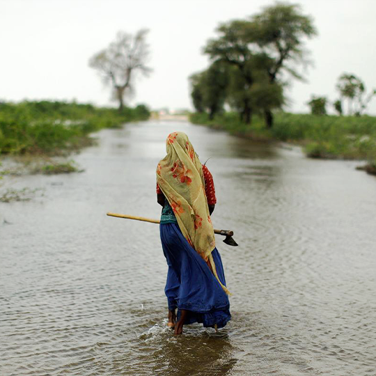Haryana Floods